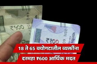 Indira Gandhi National Disability Pension Scheme Maharashtra