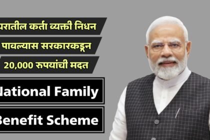 National Family Benefit Scheme 20000 Financial Aid Details