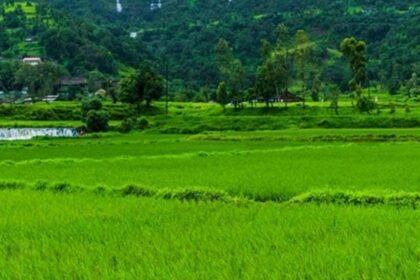 Maharashtra Land Allocation Ready Reckoner Rule