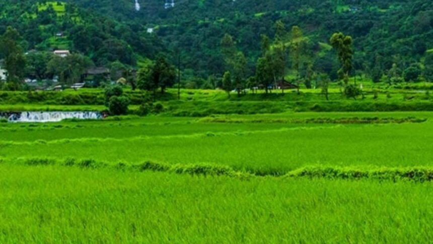 Maharashtra Land Allocation Ready Reckoner Rule