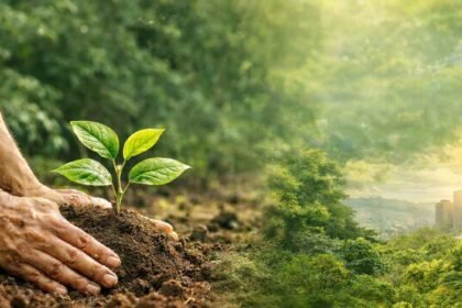 Maharashtra 56 Lakh Tree Plantation Mitra Earth Day